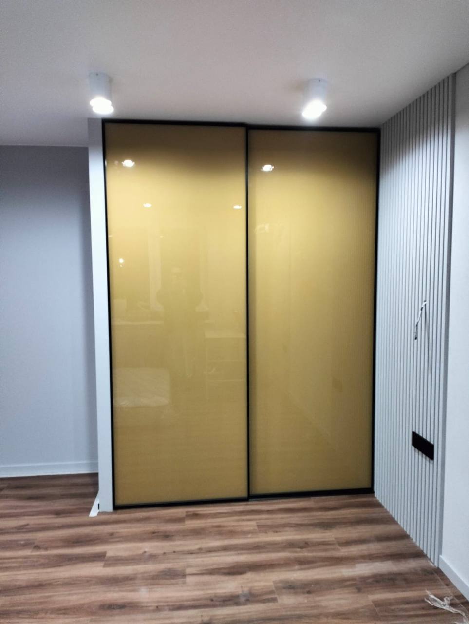 Шкаф-купе Шампань глянец стеклянные двери